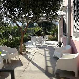 Miss Sicily Bed & Breakfast Terrasini